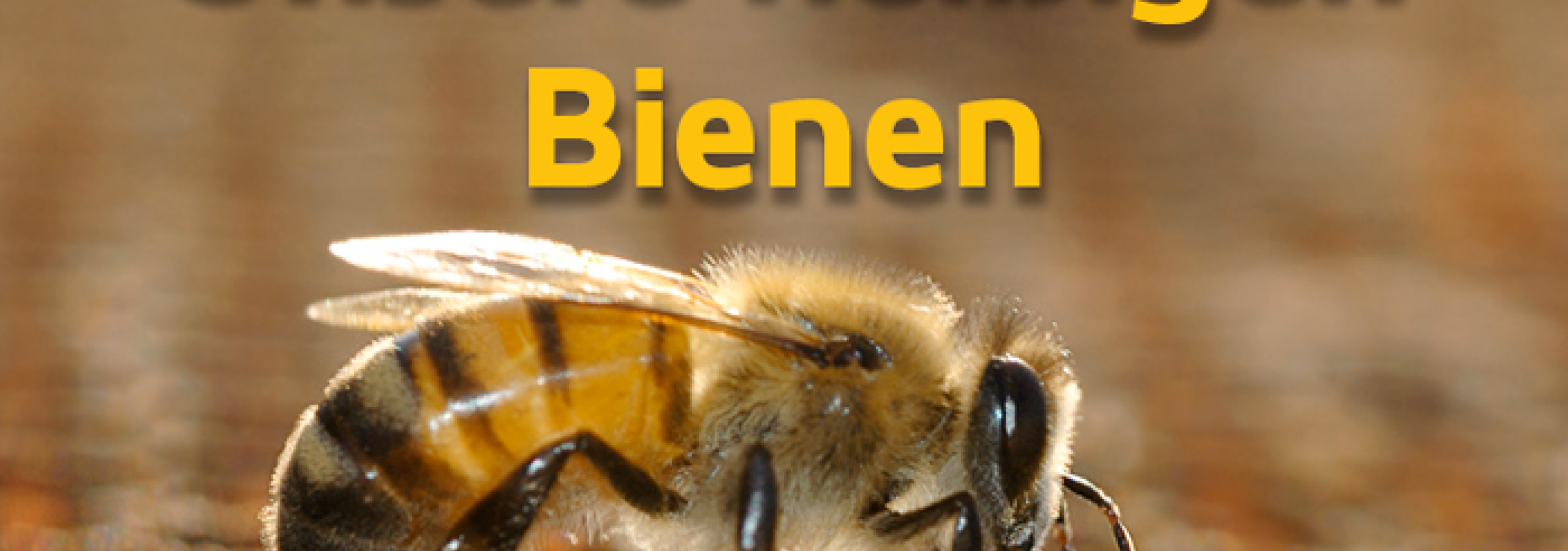 Bienen 02